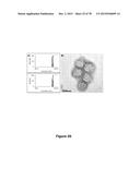 Uniform, Functionalized, Cross-Linked Nanostructures for Monitoring pH diagram and image