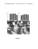 Uniform, Functionalized, Cross-Linked Nanostructures for Monitoring pH diagram and image