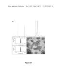 Uniform, Functionalized, Cross-Linked Nanostructures for Monitoring pH diagram and image