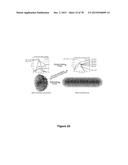 Uniform, Functionalized, Cross-Linked Nanostructures for Monitoring pH diagram and image