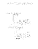 Uniform, Functionalized, Cross-Linked Nanostructures for Monitoring pH diagram and image