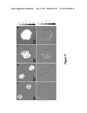 Uniform, Functionalized, Cross-Linked Nanostructures for Monitoring pH diagram and image