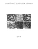 Uniform, Functionalized, Cross-Linked Nanostructures for Monitoring pH diagram and image