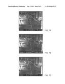 A MULTI-FUNCTIONAL SENSOR FOR AN ELECTROCHEMICAL DETECTION SYSTEM diagram and image