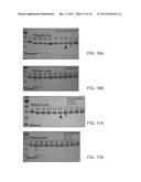 Deglycosylation Reagents and Methods diagram and image