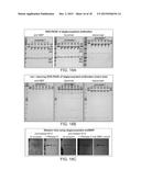 Deglycosylation Reagents and Methods diagram and image