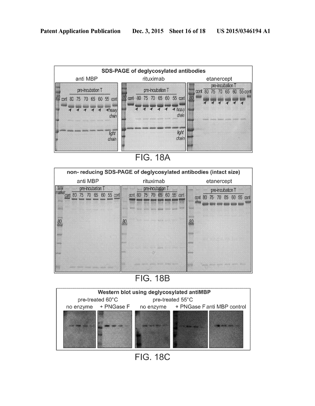 Deglycosylation Reagents and Methods - diagram, schematic, and image 17