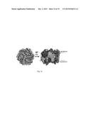 DETECTION OF MEMBRANE PROTEINS diagram and image