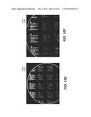 OPTICAL PHASED ARRAYS diagram and image