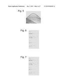 METHODS AND APPARATUS FOR COOPERATIVE NOISE ATTENUATION IN DATA SETS     RELATED TO THE SAME UNDERGROUND FORMATION diagram and image