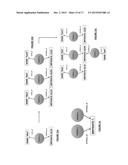 Process and Framework For Facilitating Data Sharing Using a Distributed     Hypergraph diagram and image