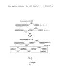 METHODS AND SYSTEMS FOR DETECTING SEQUENCE VARIANTS diagram and image