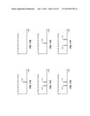 COMPUTATIONS USING A POLYCHRONOUS WAVE PROPAGATION SYSTEM diagram and image