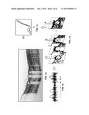 DEVICES, METHODS, AND SYSTEMS OF FUNCTIONAL OPTICAL COHERENCE TOMOGRAPHY diagram and image