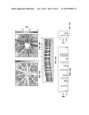 DEVICES, METHODS, AND SYSTEMS OF FUNCTIONAL OPTICAL COHERENCE TOMOGRAPHY diagram and image