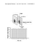 DEVICES, METHODS, AND SYSTEMS OF FUNCTIONAL OPTICAL COHERENCE TOMOGRAPHY diagram and image