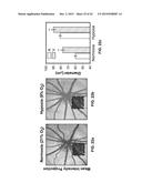 DEVICES, METHODS, AND SYSTEMS OF FUNCTIONAL OPTICAL COHERENCE TOMOGRAPHY diagram and image