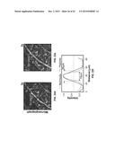 DEVICES, METHODS, AND SYSTEMS OF FUNCTIONAL OPTICAL COHERENCE TOMOGRAPHY diagram and image