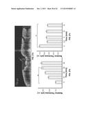 DEVICES, METHODS, AND SYSTEMS OF FUNCTIONAL OPTICAL COHERENCE TOMOGRAPHY diagram and image