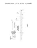 LINEAR MOTOR SYSTEM WITH POWERED CURVILINEAR TRACK SECTIONS diagram and image