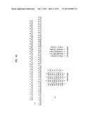 APPARATUS FOR TRANSMITTING BROADCAST SIGNALS, APPARATUS FOR RECEIVING     BROADCAST SIGNALS, METHOD FOR TRANSMITTING BROADCAST SIGNALS AND METHOD     FOR RECEIVING BROADCAST SIGNALS diagram and image