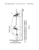 PROCESSING OF PASSIVE INTERMODULATION DETECTION RESULTS diagram and image