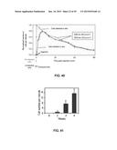 DEVICE AND METHOD FOR IN VIVO NONINVASIVE MAGNETIC MANIPULATION OF     CIRCULATING OBJECTS IN BIOFLOWS diagram and image