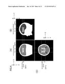 MAGNETIC RESONANCEIMAGING APPARATUS AND MEASUREMENT METHOD THEREOF diagram and image