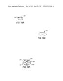 COMPONENTS FOR  PERMANENT REMOVABLE AND ADJUSTABLE DENTURES AND BRIDGES diagram and image