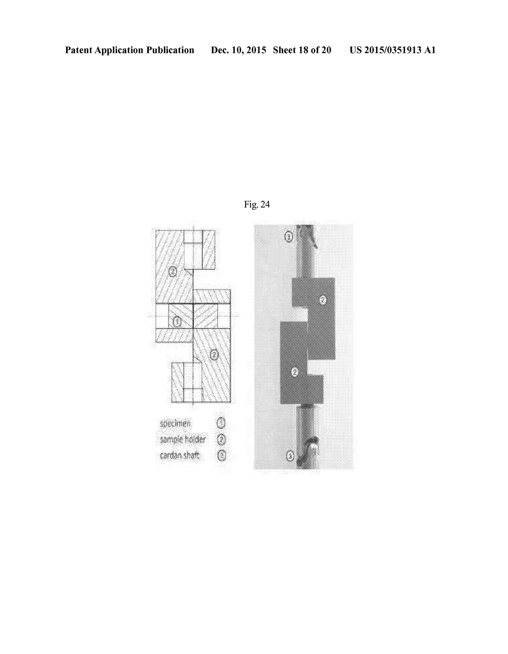 METHOD FOR MANUFACTURING IMPLANT HAVING POROUS LAYER ON SURFACE THEREOF - diagram, schematic, and image 19