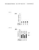 MOLECULARLY TARGETED COMBINATION DRUG FOR TUMOR TREATMENT AND PREVENTION diagram and image