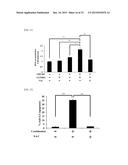 MOLECULARLY TARGETED COMBINATION DRUG FOR TUMOR TREATMENT AND PREVENTION diagram and image