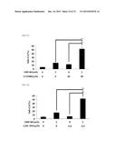 MOLECULARLY TARGETED COMBINATION DRUG FOR TUMOR TREATMENT AND PREVENTION diagram and image