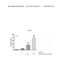 HDAC INHIBITOR AND BTK INHIBITOR COMBINATIONS diagram and image