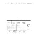 HDAC INHIBITOR AND BTK INHIBITOR COMBINATIONS diagram and image