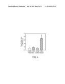 Methods and Compositions for Treating Trauma-Hemorrhage Using Estrogen and     Derivatives Thereof diagram and image