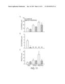 Methods and Compositions for Treating Trauma-Hemorrhage Using Estrogen and     Derivatives Thereof diagram and image