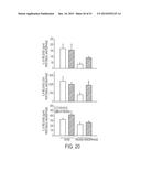 Methods and Compositions for Treating Trauma-Hemorrhage Using Estrogen and     Derivatives Thereof diagram and image