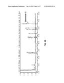 COMPOSITION FOR TOPICAL SKIN APPLICATION CONTAINING GINSENOSIDE F2 DERIVED     FROM HYDROPONIC GINSENG diagram and image