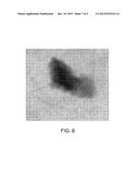 PARTICLE FUNCTIONALIZATION diagram and image