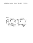 CONJUGATE COMPOUNDS diagram and image