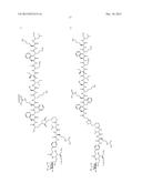 CONJUGATE COMPOUNDS diagram and image