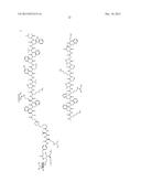 CONJUGATE COMPOUNDS diagram and image