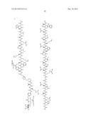 CONJUGATE COMPOUNDS diagram and image