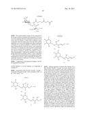 CONJUGATE COMPOUNDS diagram and image