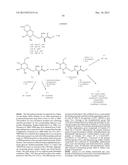 CONJUGATE COMPOUNDS diagram and image