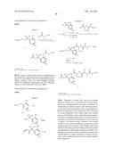 CONJUGATE COMPOUNDS diagram and image