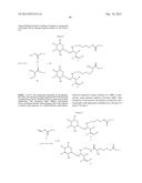 CONJUGATE COMPOUNDS diagram and image