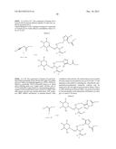 CONJUGATE COMPOUNDS diagram and image