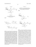 CONJUGATE COMPOUNDS diagram and image